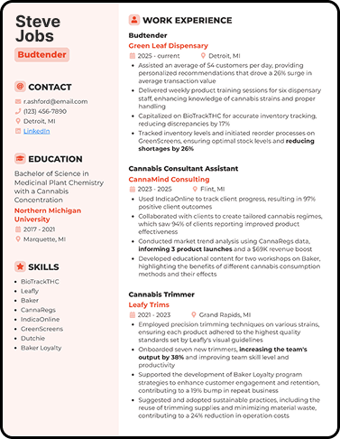 Boring traditional resume
